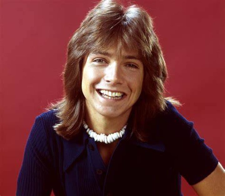 Teen idol David Cassidy, 'Partridge Family' star, dies at 67