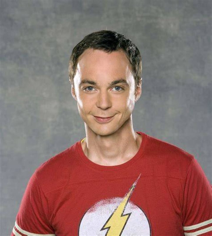 The Big Bang Theory Sheldon and Leonard's Mothers S08E23 [1080p