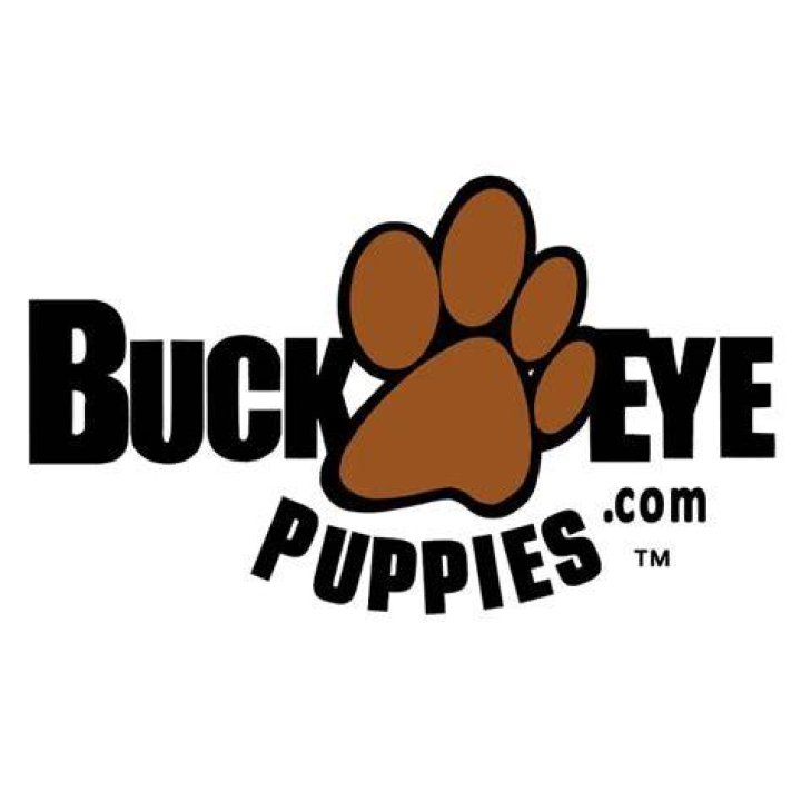 The Curious World Of Buckeye Puppies Revealed