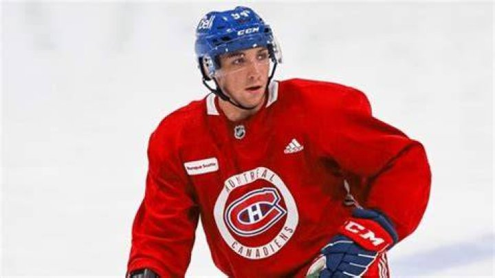 The Habs Just Signed Logan Mailloux, A Player With A SexRelated