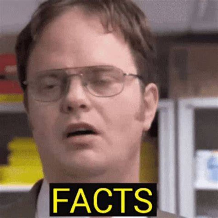 The Office Dwight Facts Photo 605391