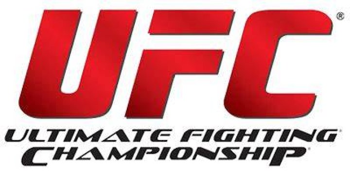 UFC's Dana White Says He Won't Face Discipline After Physical