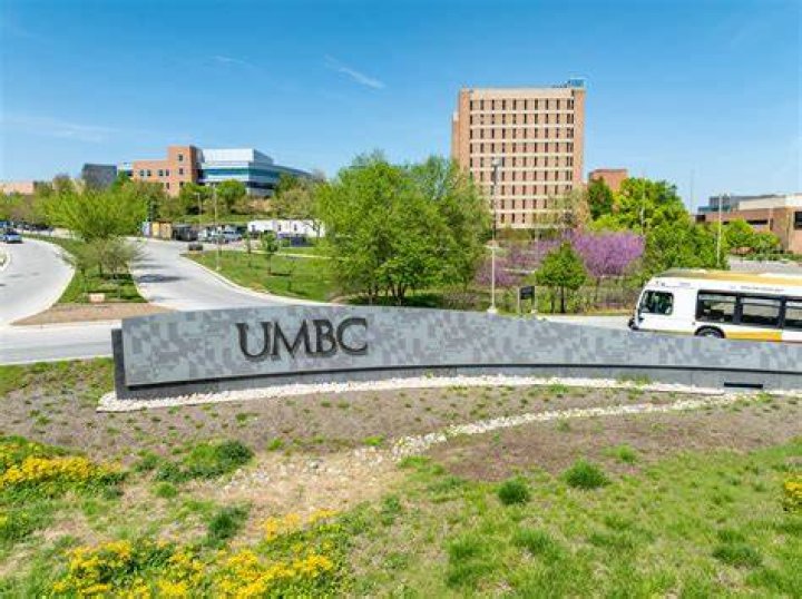 UMBC's Michelle R. Scott Receives The 2017 Letitia Woods Brown Article