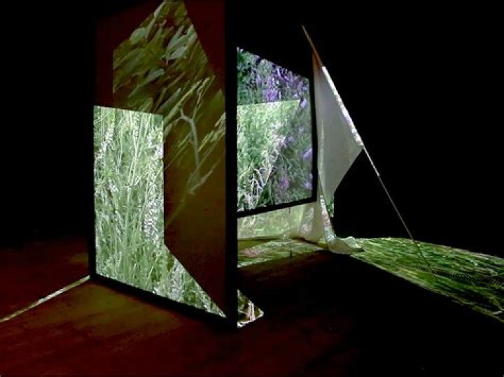 Uncover The Art And Activism Of Felicia Knox: Discoveries And Insights