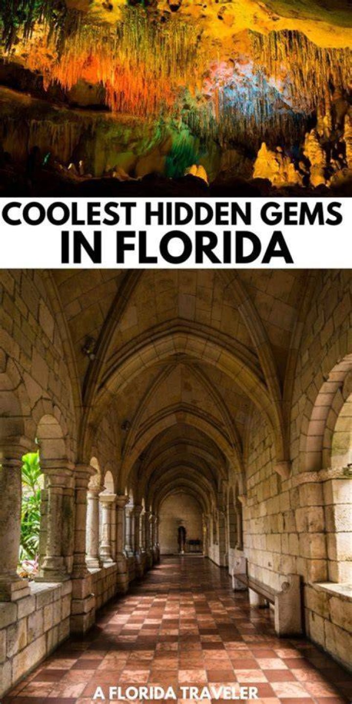 Uncover The Hidden Gems: Everyday People, Extraordinary Insights