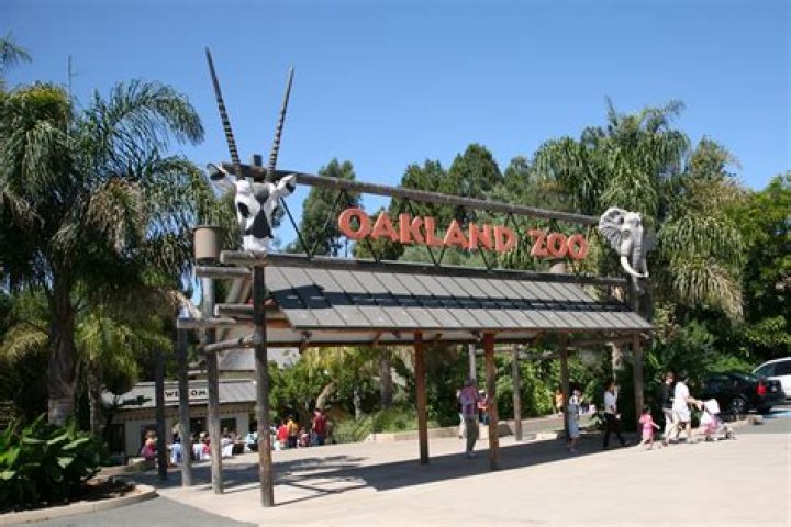 Uncover The Wild Side Of California: Discoveries At Oakland Zoo