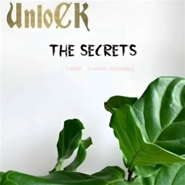Unlock The Secrets Of Gabbi Marshall's Mysterious Boyfriend