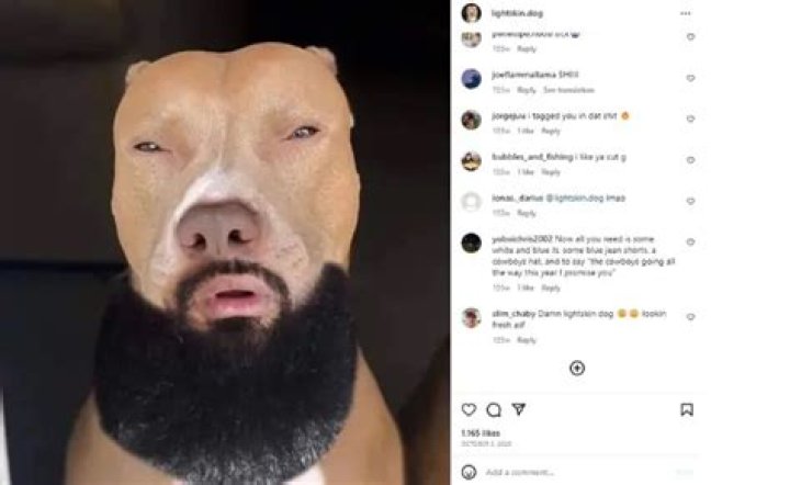 Unlock The Secrets Of Light Skinned Dogs