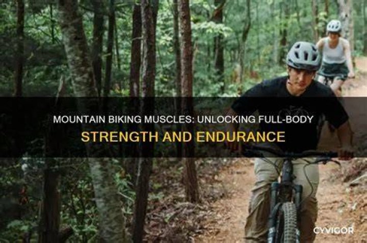 Unlocking The Secrets Of Mountain Biking Greatness