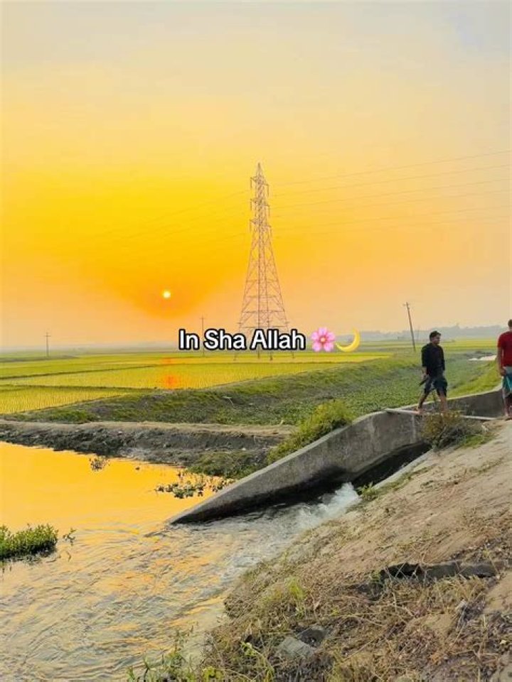 Unveiling Sha'Carri: Discoveries & Insights Await