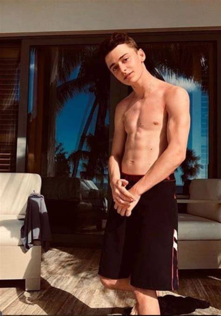 Unveiling The Cultural Significance Behind "Noah Schnapp Shirtless" For SEO Enthusiasts