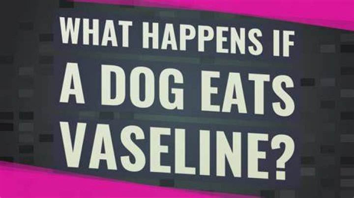 Unveiling The Dangers Of Jelly Bean Brains Masturbation: A Comprehensive Guide