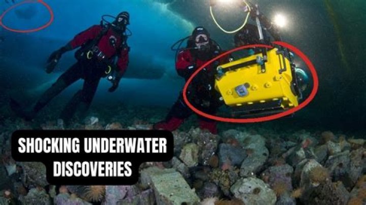 Unveiling The Depths: Discoveries From Diana Nyad's Renowned Oceanographer Spouse