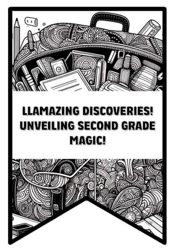 Unveiling The KonMari Magic: Discoveries And Insights From Marie Kondo