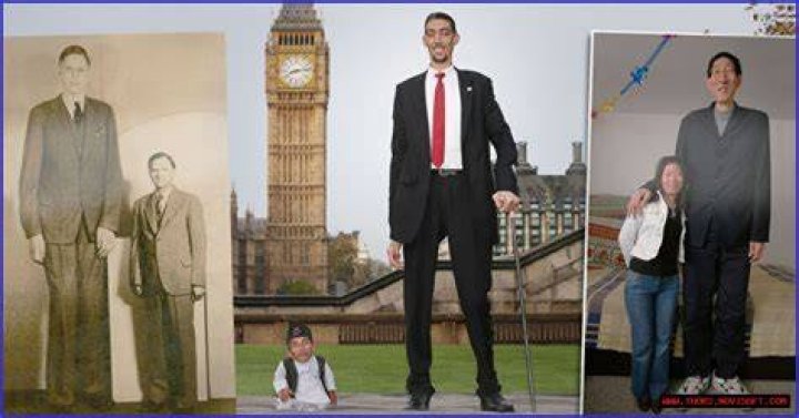 Unveiling The Towering Stature Of James Drury: A Height Odyssey