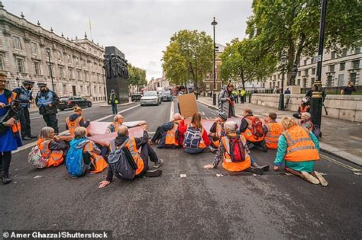 Van Gogh vandals are graduate, 21, and student, 20, who blockaded