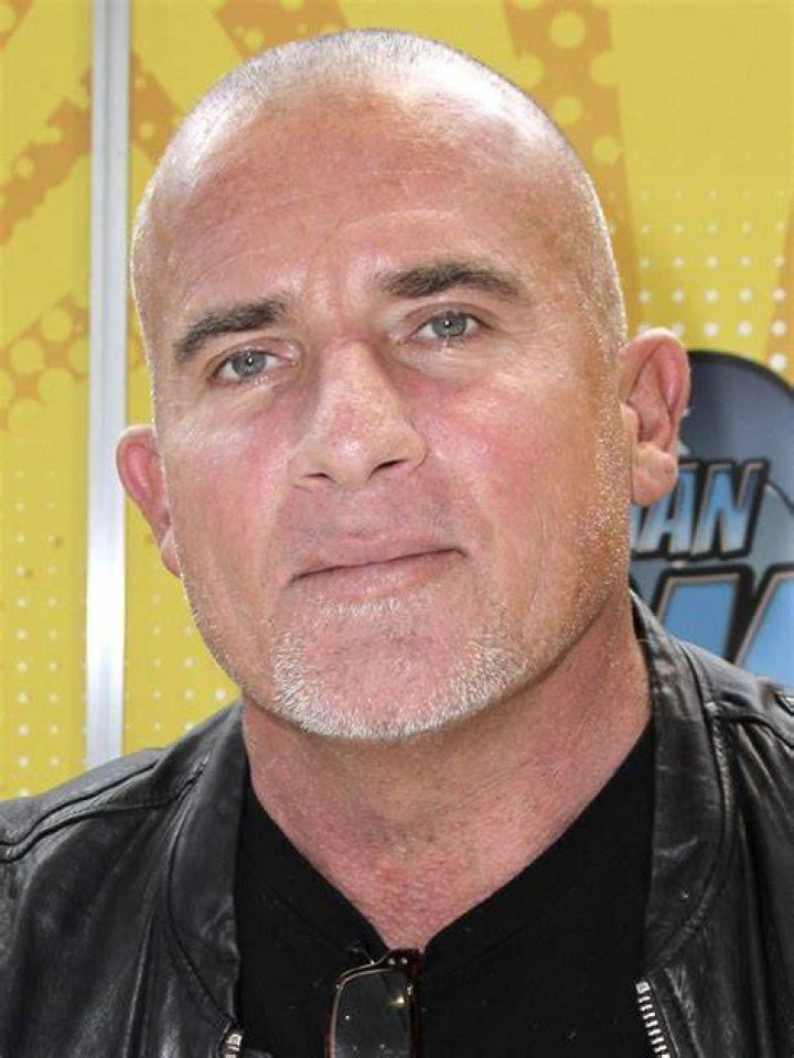Who Is Dominic Purcell? &mdash; 5 Things To Know About Tish Cyrus&rsquo; Fiance