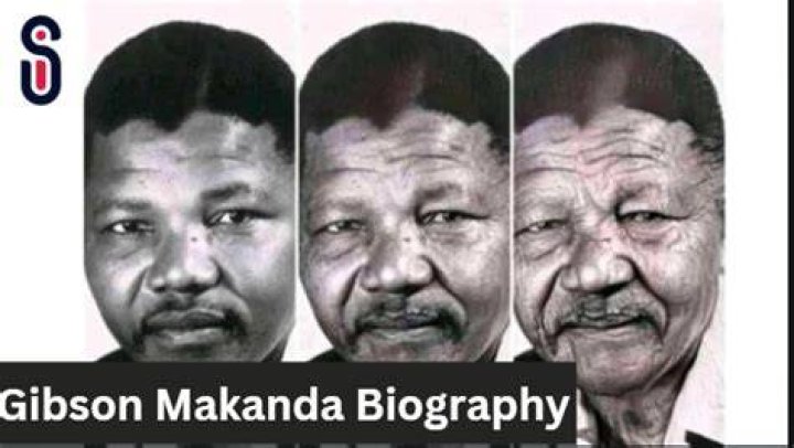Who Is Gibson Makanda &bull; The Pink Brain