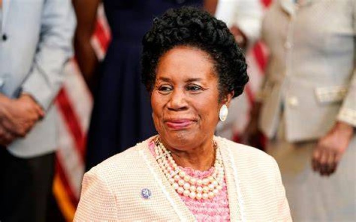 Who is Sheila Jackson Lee's husband? Meet the Texas Rep's family