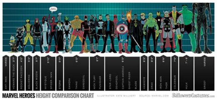 Who Is the Tallest Marvel Star? And, No, It Isn't Chris Hemsworth
