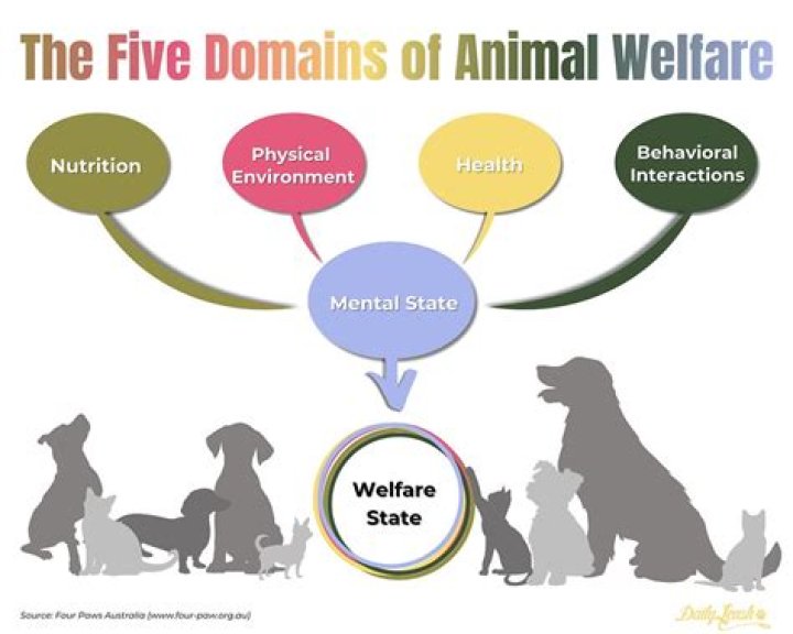 Your Source For Animal Welfare